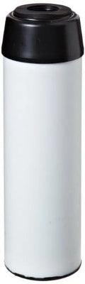 Pentek TSGAC-10 Scale Filter (9-3/4" x 2-7/8")