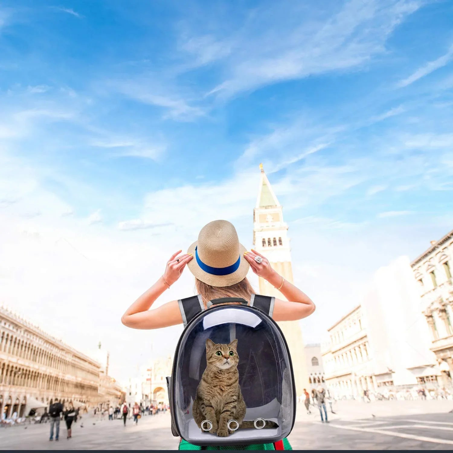 Bubble Pet Carrier Backpack,Airline-Approved for Cats and Puppies,Designed for Travel, Hiking, and Outdoor Adventures