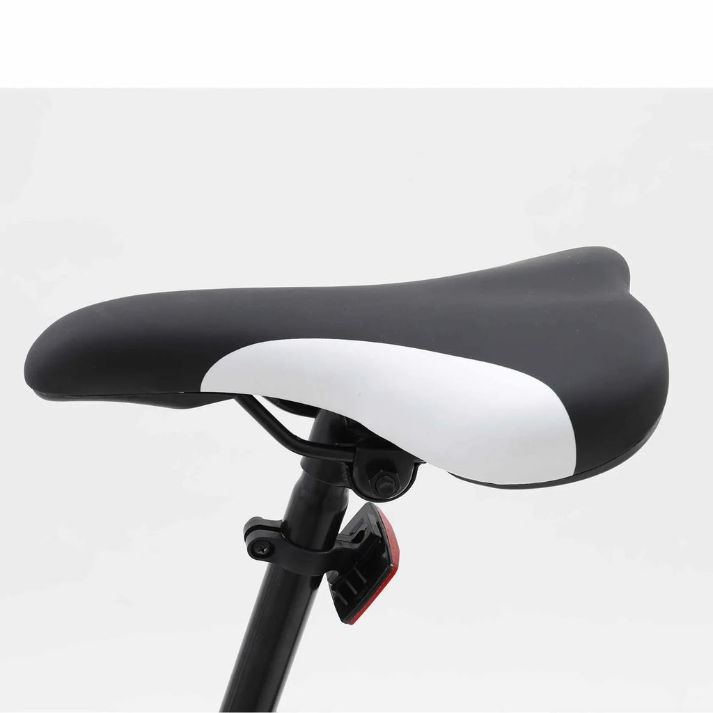 Dinling Mountain Bike, 26-inch wheel, 21 speeds Hybrid Road Bicycle, Black-White