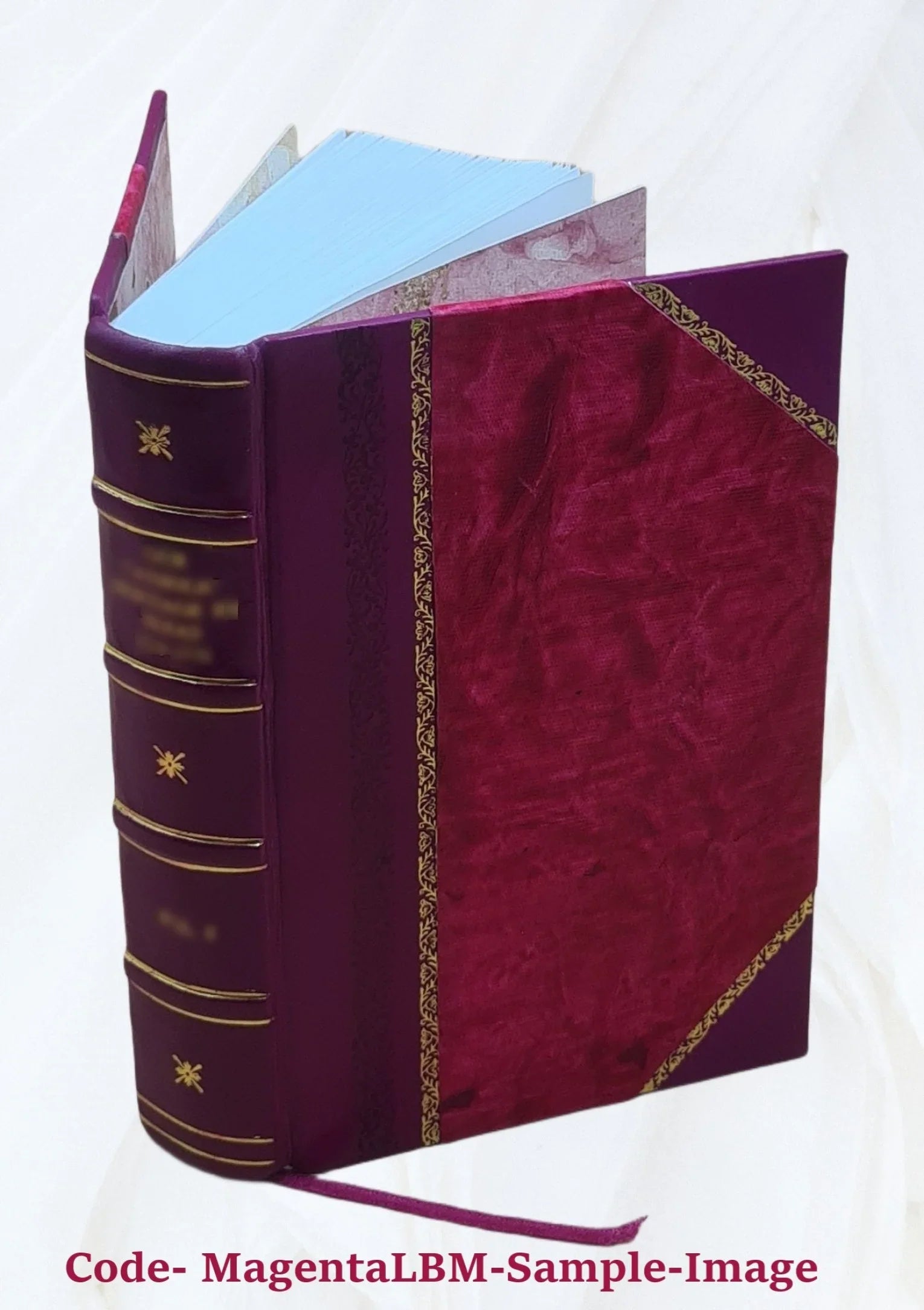 A history of the University of Missouri. 1962 [Leather Bound]