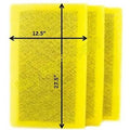 RayAir Supply 14x30 MicroPower Guard Air Cleaner Replacement  Filter Pads (3 Pack)