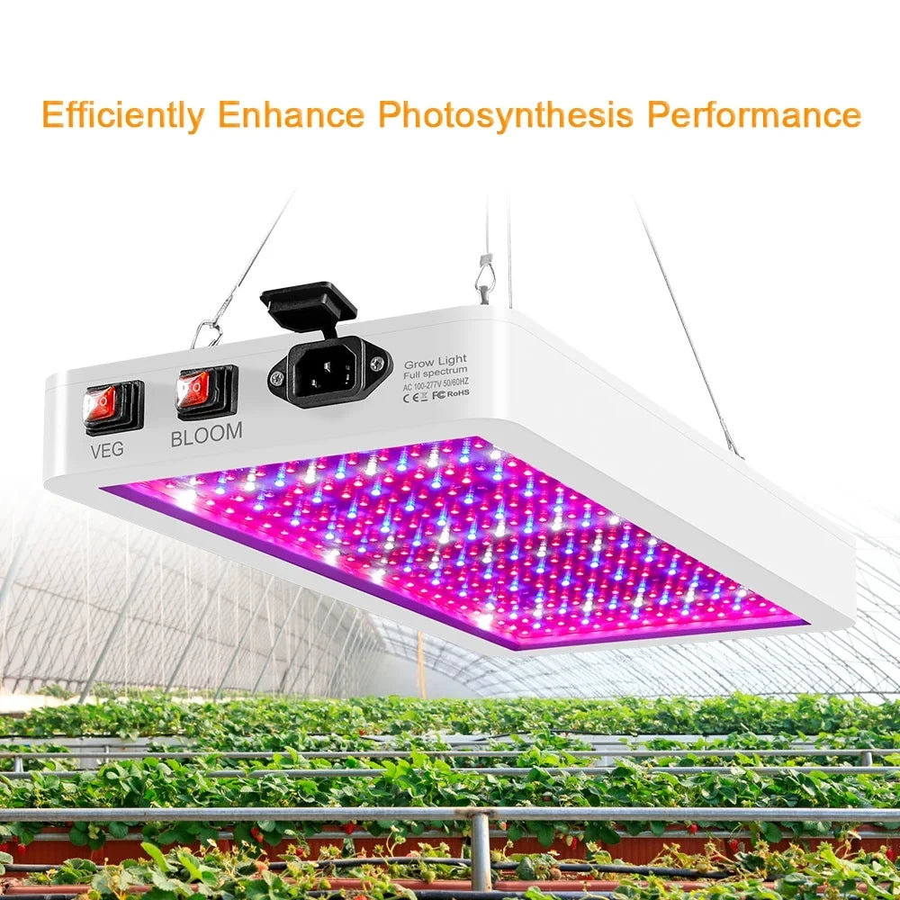 2000W Full Spectrum LED Grow Light with 312 LEDs - Indoor Plant Growing Lamp with Veg/Bloom Switch, IP65 Waterproof, Ideal for Seedlings, Flowers, Greenhouse