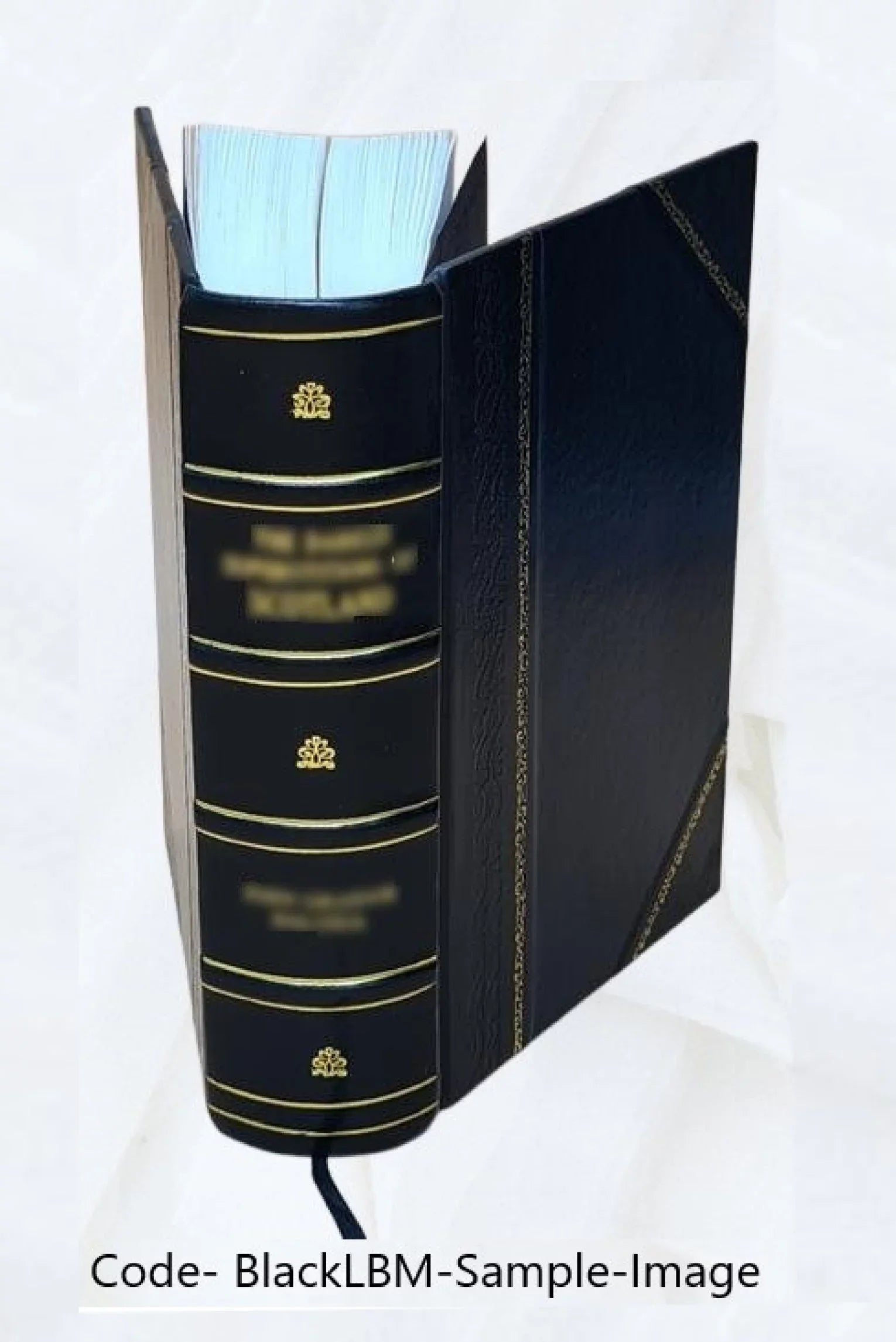 A history of the University of Missouri. 1962 [Leather Bound]