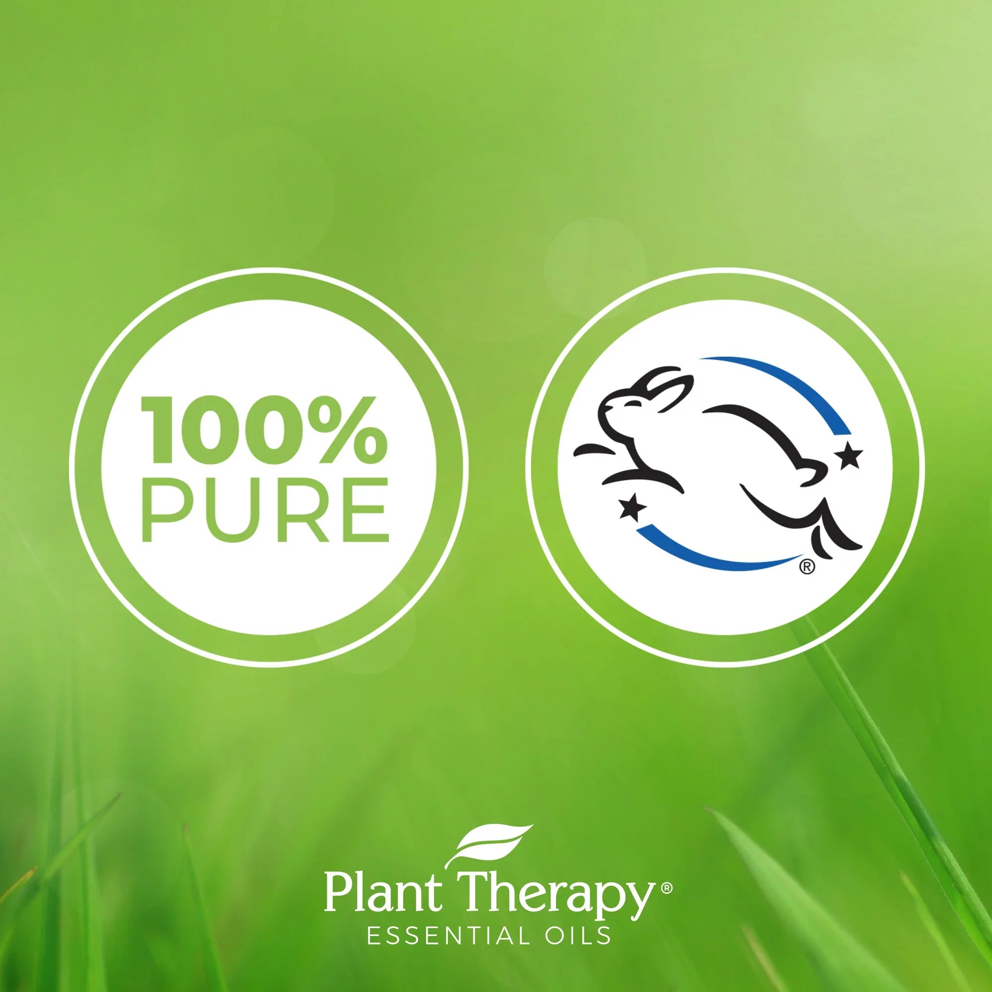 Plant Therapy Peppermint Essential Oil 100% Pure, Undiluted, Natural Aromatherapy, Therapeutic Grade 100 mL (3.3 fl oz)